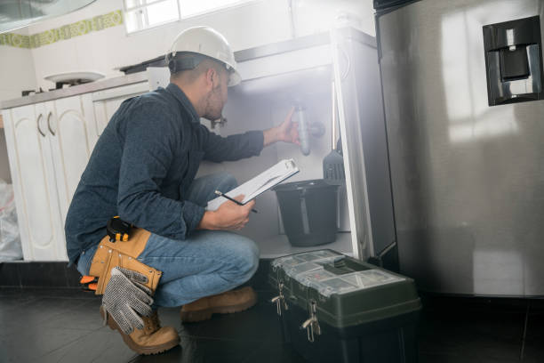 Best Plumbing Inspection Services  in Emmaus, PA